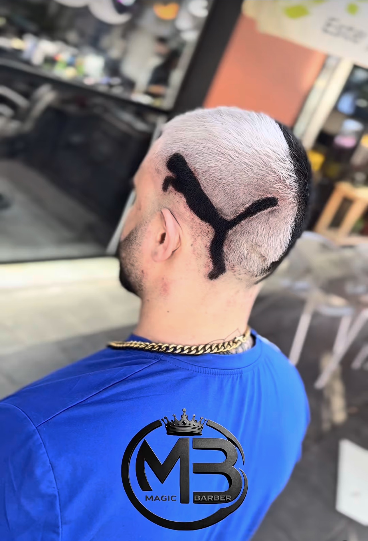 Diseño Puma